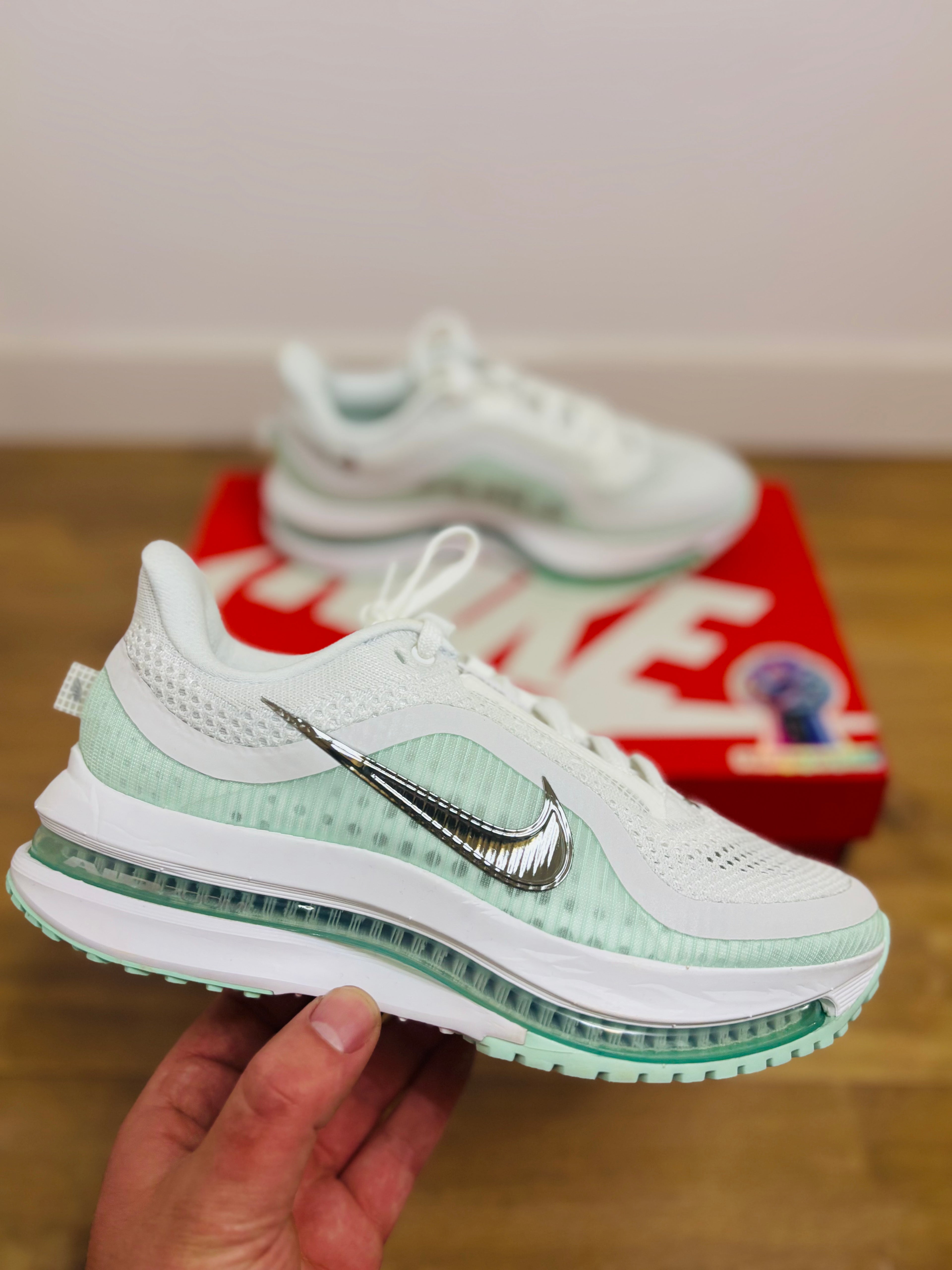 Nike Pegasus Premium Mint Metallic