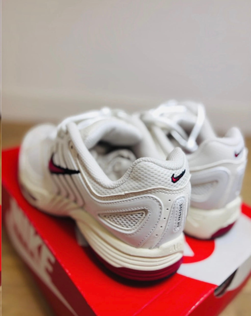Nike Air Pegasus 2k5 White Phantom Gym Red