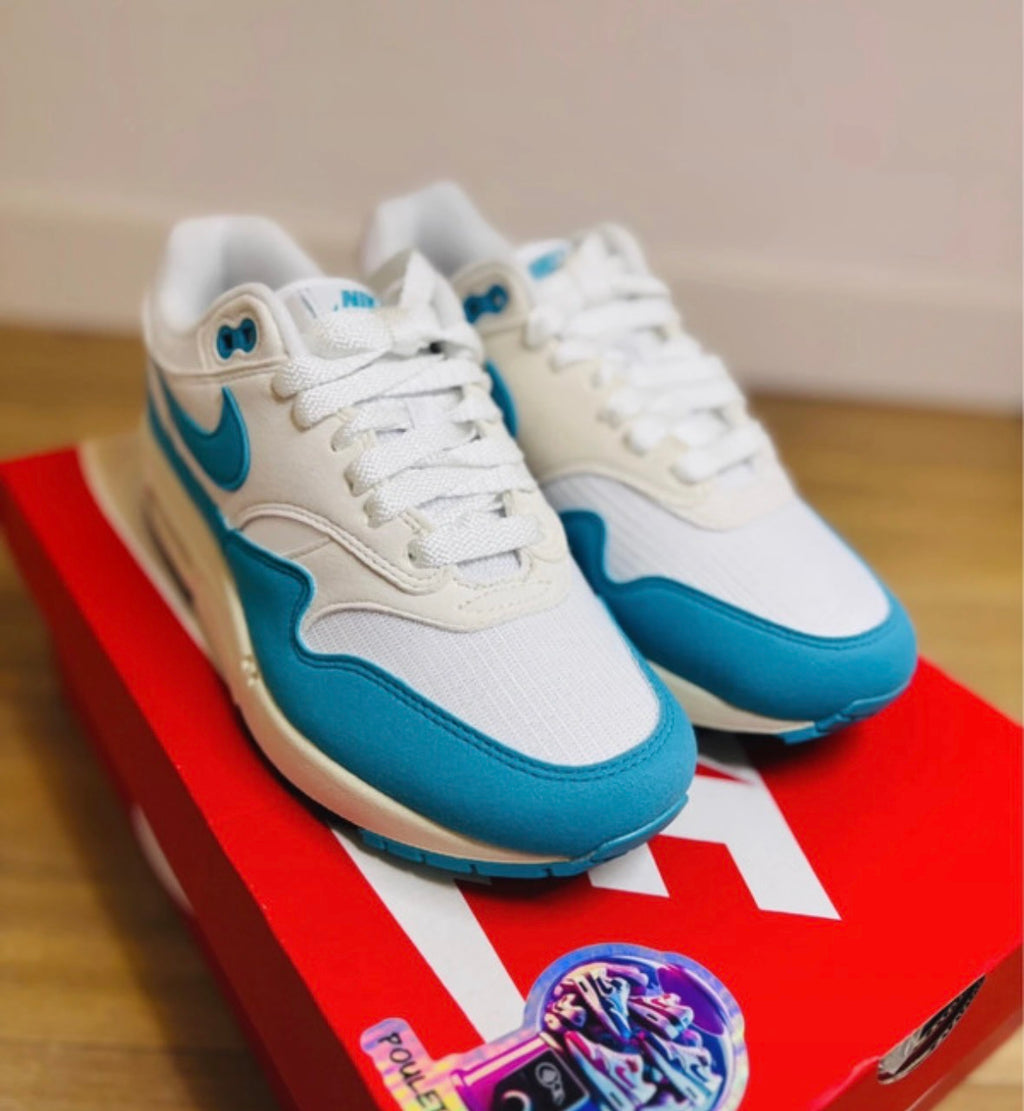 Nike Air Max 1 White Dusty Cactus Phantom