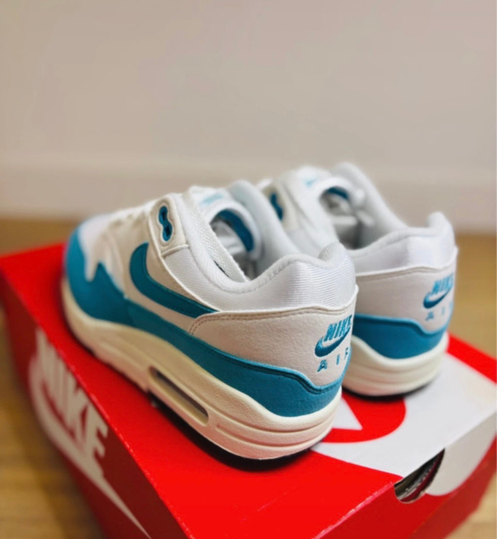 Nike Air Max 1 White Dusty Cactus Phantom