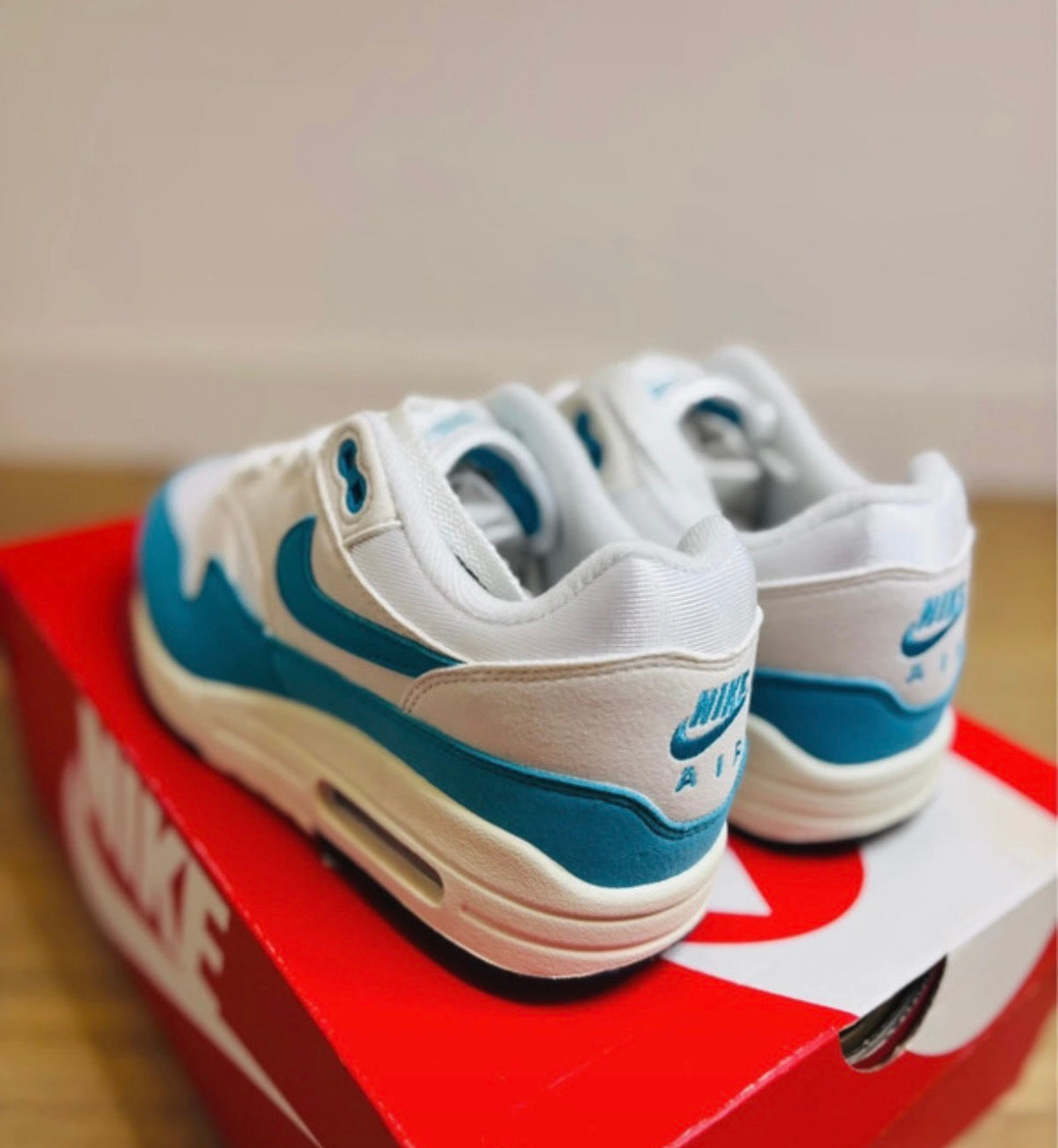 Nike Air Max 1 White Dusty Cactus Phantom