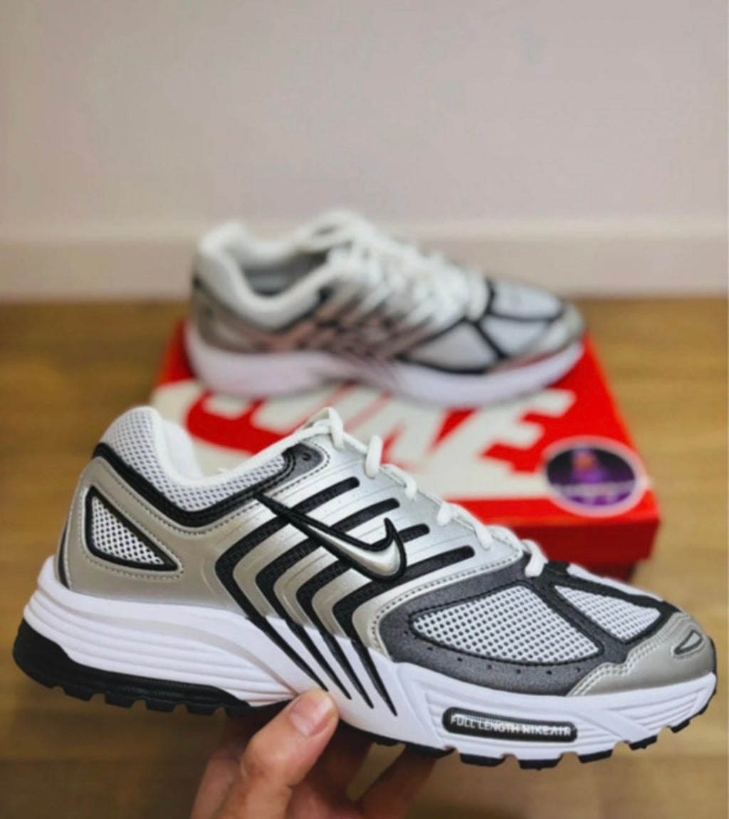 Nike Air Pegasus 2005 Silver White Black