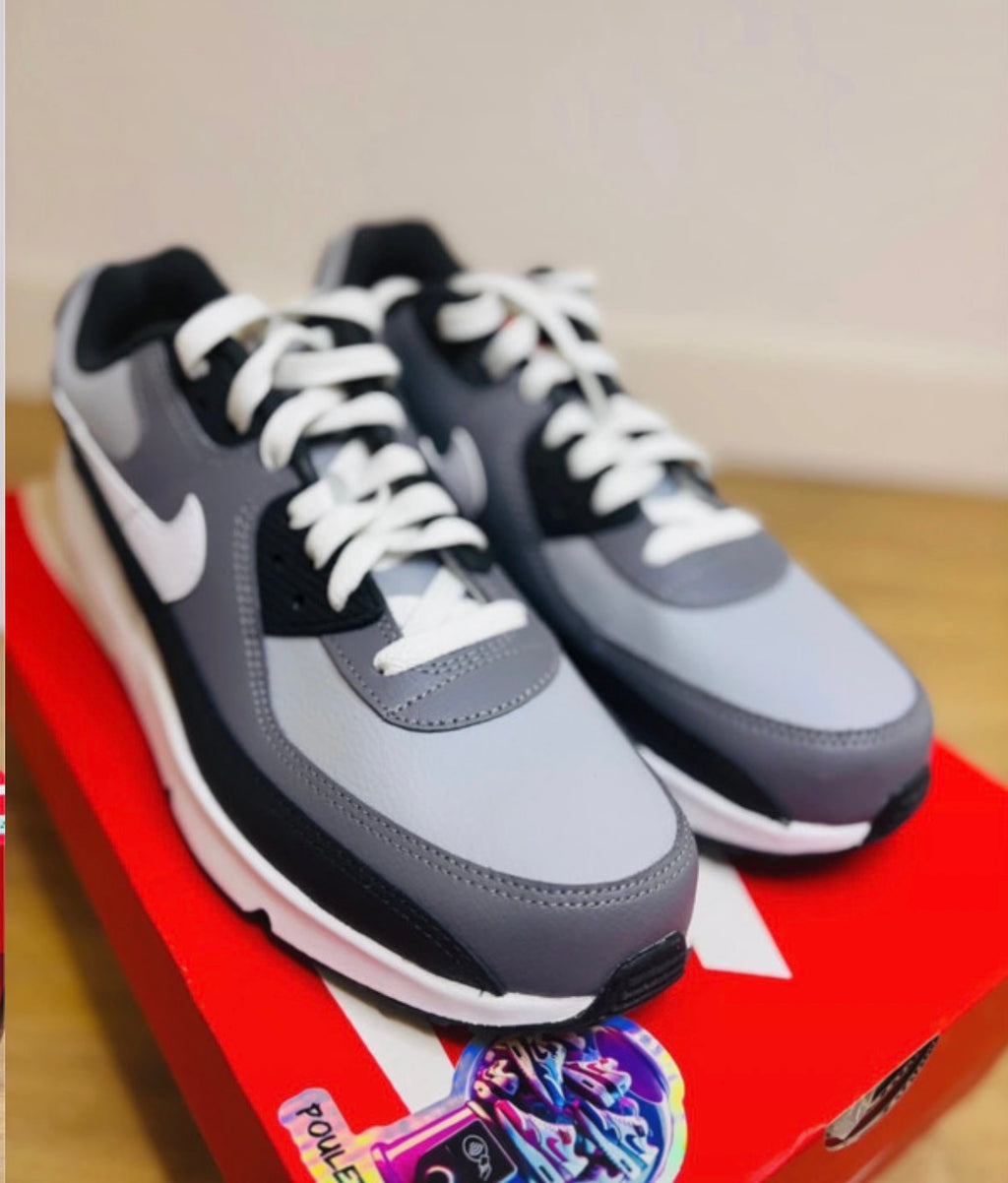Nike Air Max 90 Wolf Grey White Cool Grey